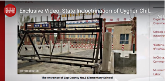 Moção (Holanda) condena o genocídio de uigures na China