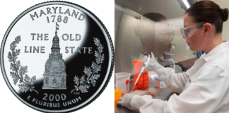 Bom senso: projeto impede demissão por recusa à vacina