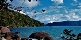 É pela admiração amorosa que se chega a Deus