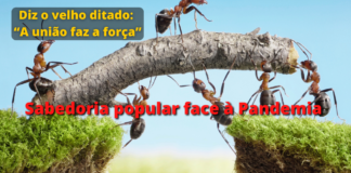 Sabedoria popular face à Pandemia: nos símbolos da Criação tirar os ensinamentos da ação