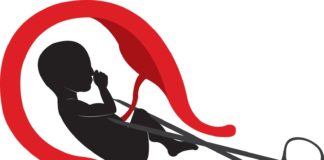 Aborto matando mais que Covid