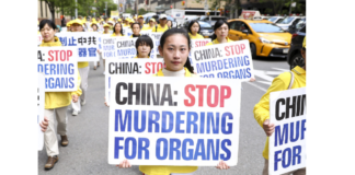 Texas diz “não” à extração forçada de órgãos na China