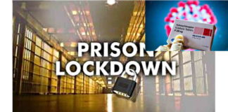 Lockdown socialista: um “dogma” acima da comprovação científica?