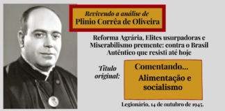 Reforma Agrária, Elites usurpadoras e Miserabilismo premente: contra o Brasil Autêntico que resiste até hoje
