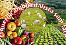 Agronegócio, modelo de sustentabilidade, produção, preservação: relatório das Nações Unidas