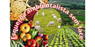 Agronegócio, modelo de sustentabilidade, produção, preservação: relatório das Nações Unidas