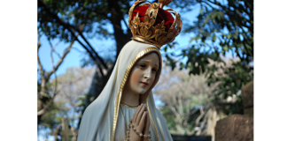 Festejar o mês de maio em espírito de reparação