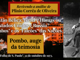 A Questão Bélica: Israel e Hamas ou Estados Unidos e Rússia? Os “Pombos” e os “Falcões” das Nações.
