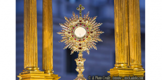 Papa Francisco, a Eucaristia é o “Pão dos pecadores”: Para a Igreja é o “Pão dos Anjos”