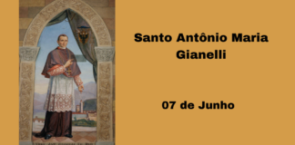 07/06 – Santo Antônio Maria Gianelli, Bispo e Confessor