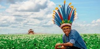 Ponto final nas demarcações de terras indígenas