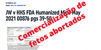 Fetos humanos abortados para “camundongos humanizados”