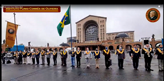 Nossa Senhora Aparecida: Pro Maria fiant maxima!