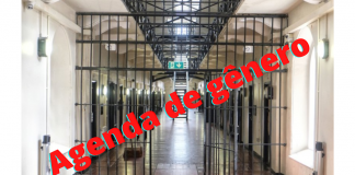 Breves: Identidade de gênero: problema nas prisões americanas