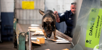 China, Fentanyl, cassinos, lavagem de dinheiro e destruição moral da América