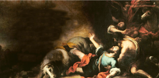 São Paulo, modelo para o católico de nossos dias