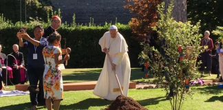 Formação: “Desalienação”, a chave para se entender o progressismo (2)