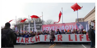 Breves: Marcha pela Vida (WDC) com a presença da TFP americana