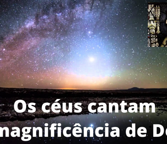 Majestade de Deus e dignidade do homem: lição (do Rei Davi) aos adoradores da Pachamama
