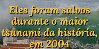 Eles foram salvos durante o maior tsunami da história, em 2004