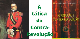 Formação (R-CR): A Tática da Contra-Revolução