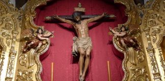 “Que utilidade há no meu sangue?”