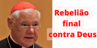 Cardeal Müller condena a ideologia transgênero