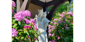 Nossa Senhora Auxiliadora