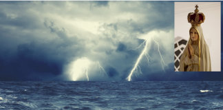 Unidade na Variedade: Lei de perfeição no Universo