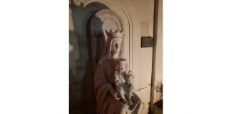 Formação: aprendendo a observar, descrever e transcender a partir das criaturas