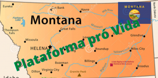 Republicanos (Montana) aprovam plataforma pró Vida: exemplo para o Brasil