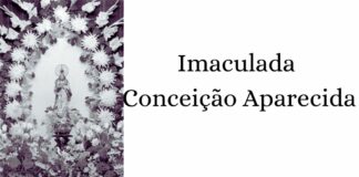 Imaculada Conceição: meditação preparatória (V)