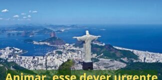 Reflexões de Ano Novo: confiança. Nem pessimismos, nem otimismos