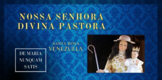 Divina Pastora de Santa Rosa