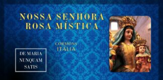 Maria Santíssima Rosa Mística