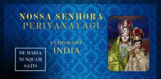 Nossa Senhora de Periyanayagi