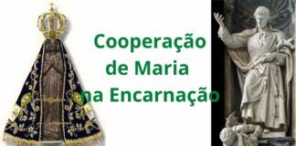 Tratado Marial de São Luís Grignion: papel de Nossa Senhora na Encarnação (VI)