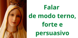 Tratado marial de São Luís: terno, forte e persuasivo (XX)