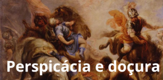 Convite à reflexão: a fortaleza e a perspicácia no Novo Testamento