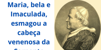 Pio IX, modelo de Papa que promove o bem e combate o mal