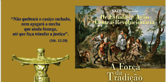 Simpósio de Estudos e Ação Contra-Revolucionária – siga online