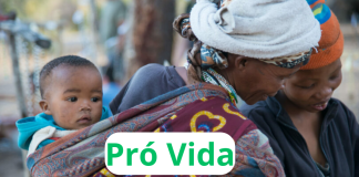 Breves: Namíbia pró Vida se mobiliza contra o aborto