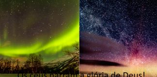 Procura do absoluto, janela espiritual, exercício da alma