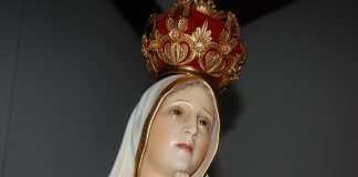 REVELAÇÕES DE FÁTIMA E POLÍTICA