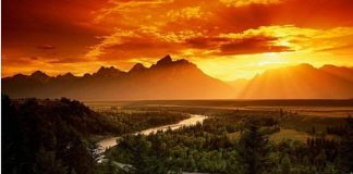 A procura do absoluto, remédio para as almas na era digital