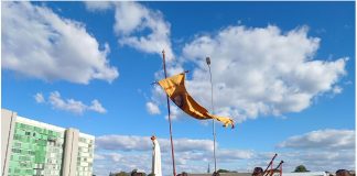 Marcha pela vida em Brasilia com a participação do IPCO