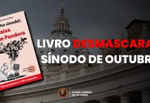 Livro DESMASCARA o Sínodo da Sinodalidade