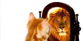 O que não é para a glória de Deus é vaidade