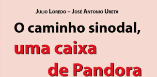 O Caminho Sinodal, caixa de pandora, declarações no avião e a Pastoral D. Strickland