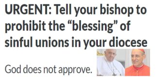 Petição aos Srs. Bispos: não às bênçãos para duplas homossexuais